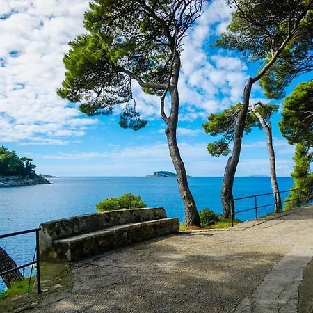 Vacation House Cavtat